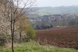 Blick auf Kautzsch - Rundwanderung in Dresden-Lockwitz und Umgebung::Foto Herr und Frau Schreiber