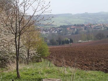 Blick auf Kautzsch im Frühjahr - Rundwanderung in Dresden-Lockwitz und Umgebung::Foto Herr und Frau Schreiber