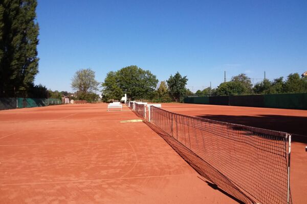 Tennis als Frühsport - Tennisanlage des ESV Dresden