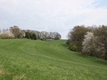 Weg nach Babisnau - Rundwanderung in Dresden-Lockwitz und Umgebung::Foto Herr und Frau Schreiber