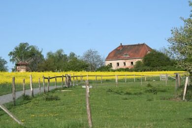 Kinder- und Jugendbauernhof Nickern mit Rapsfeld - 2007 - © AW